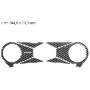 Kulfiberbriller med tryk - Kawasaki ZX 10R (06-10) udsalg
