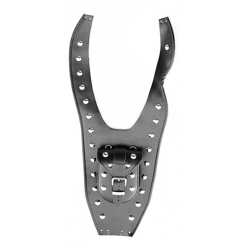 Tankrem Yamaha XVS 650 Dragstar plus Pouch