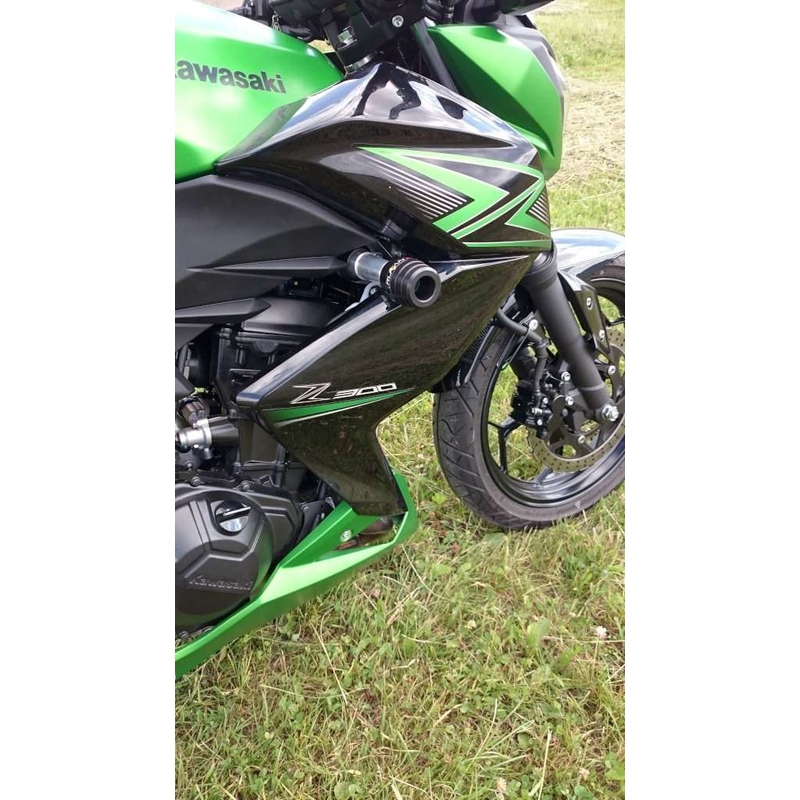 Kawasaki ZX-300R Pil
