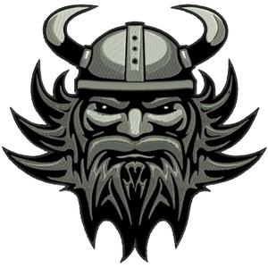 Vikingeplaster