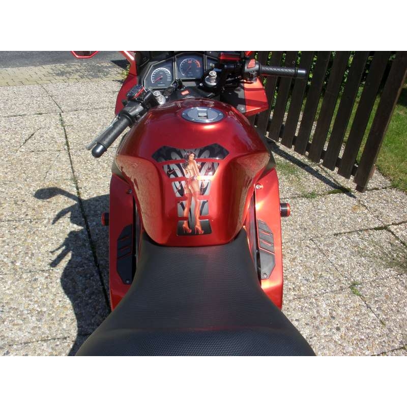 APRILIA RST 1000 FUTURA Classic(PO)