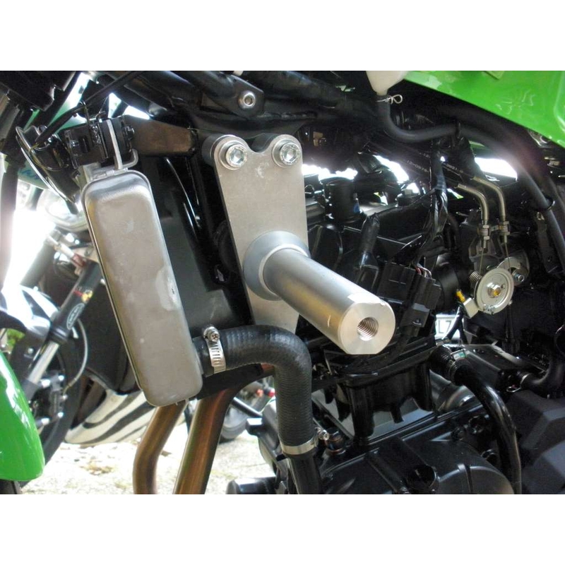 Kawasaki ZX-300R Pil