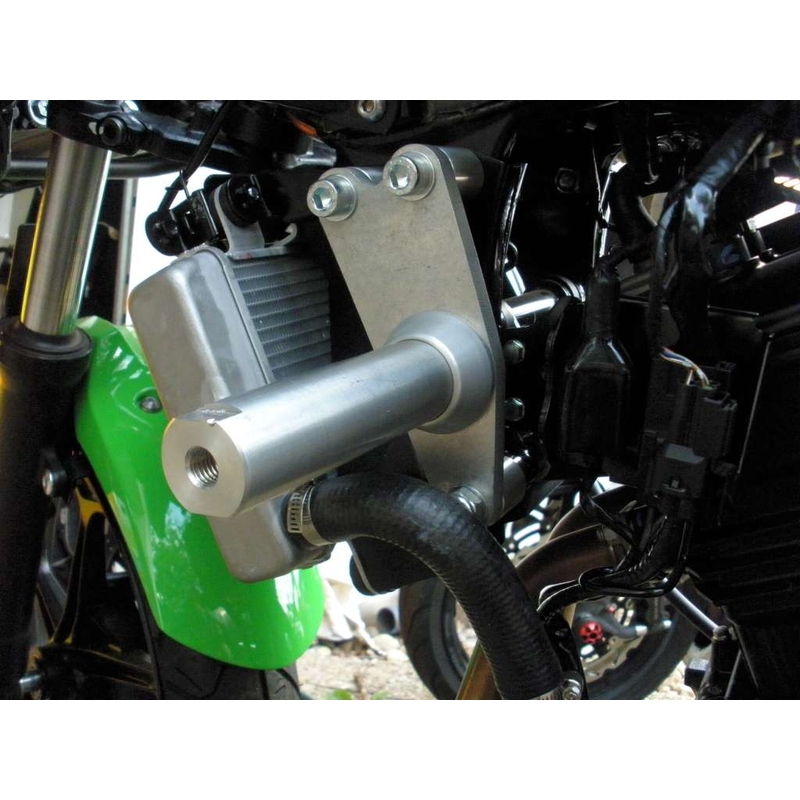 Kawasaki ZX-300R Pil
