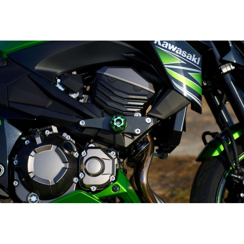 Kawasaki Z-800 (13-) Pil