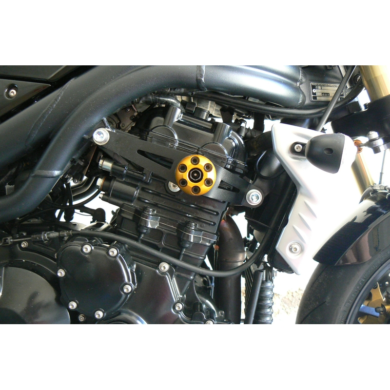 Triumph SPEED TRIPLE 1050 (05-10) Pil