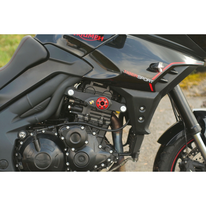 Triumph TIGER SPORT 1050 (13-) Pil
