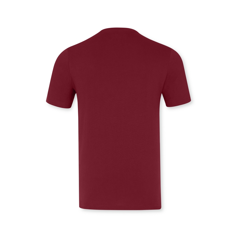 T-shirt Red Bull Racing F1 Core Mono bordeaux