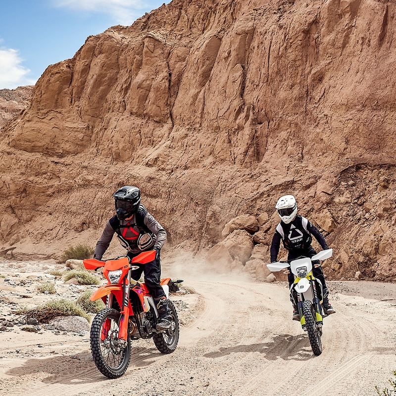 Alpinestars Techdura motocrosstrøje brun