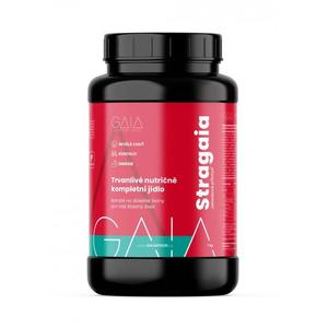 Instant food GAIA Stragaia 1 kg jordbær