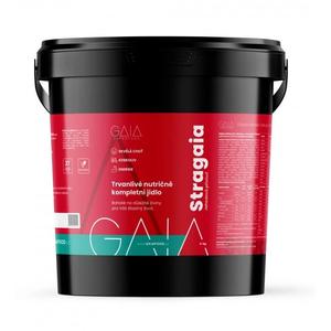 Instant food GAIA Stragaia 4 kg jordbær