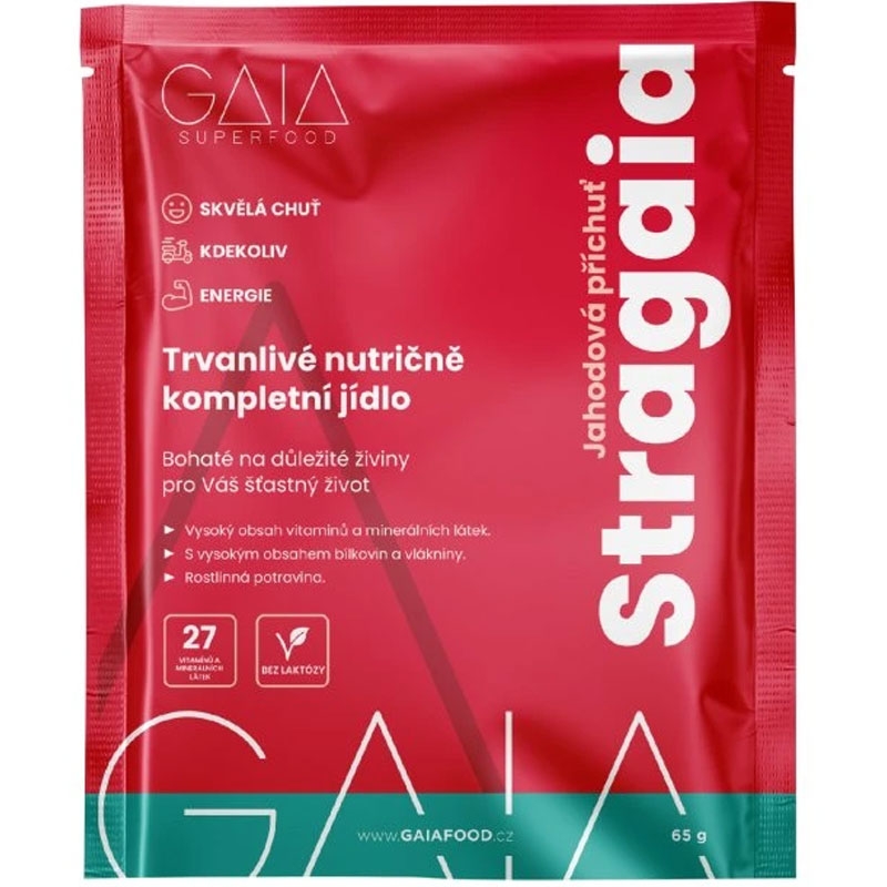 Instant food GAIA Stragaia 1x65 g jordbær