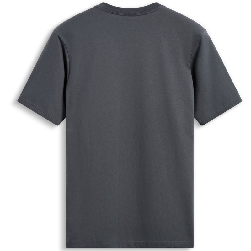 Alpinestars Waving Patch CSF grå t-shirt
