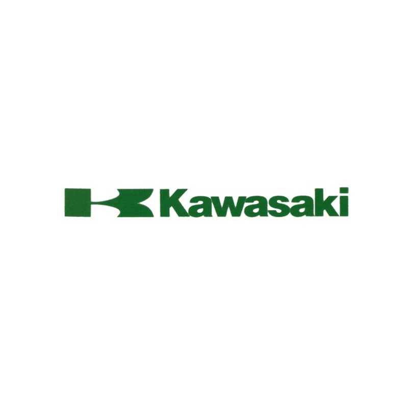 Kawasaki klistermærke grøn